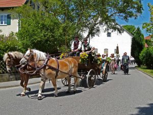 Umzug1806_047
